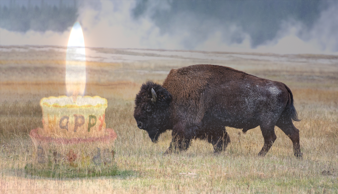 Happy Birthday National Park Service August 25th