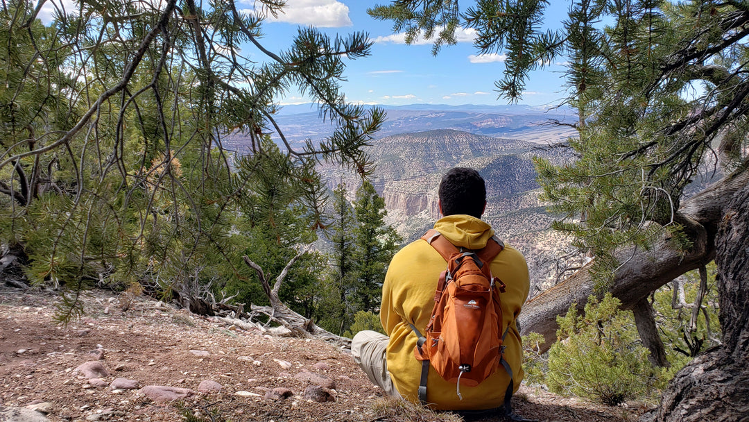 National Parks - Entrance Fee Free Days For 2022