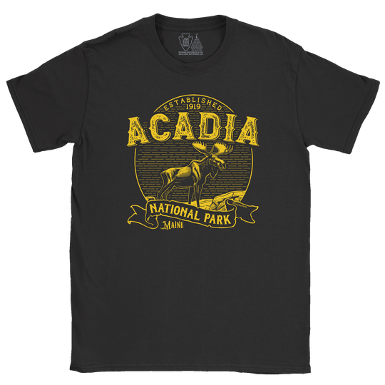 Acadia National Park Vintage Tee