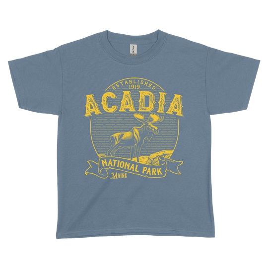 Acadia National Park Vintage Youth Tee