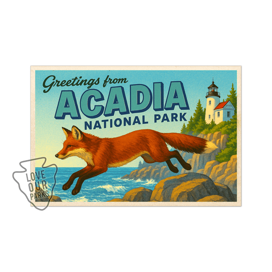 Acadia National Park Postcard Magnet