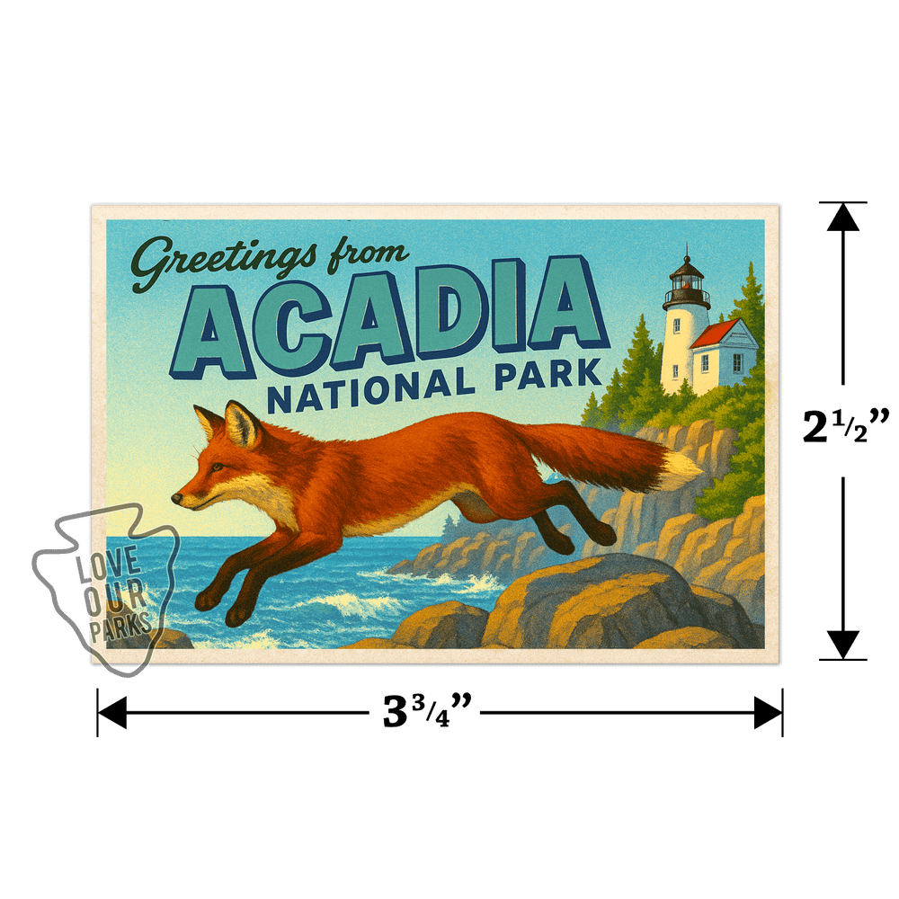 Acadia National Park Postcard Magnet