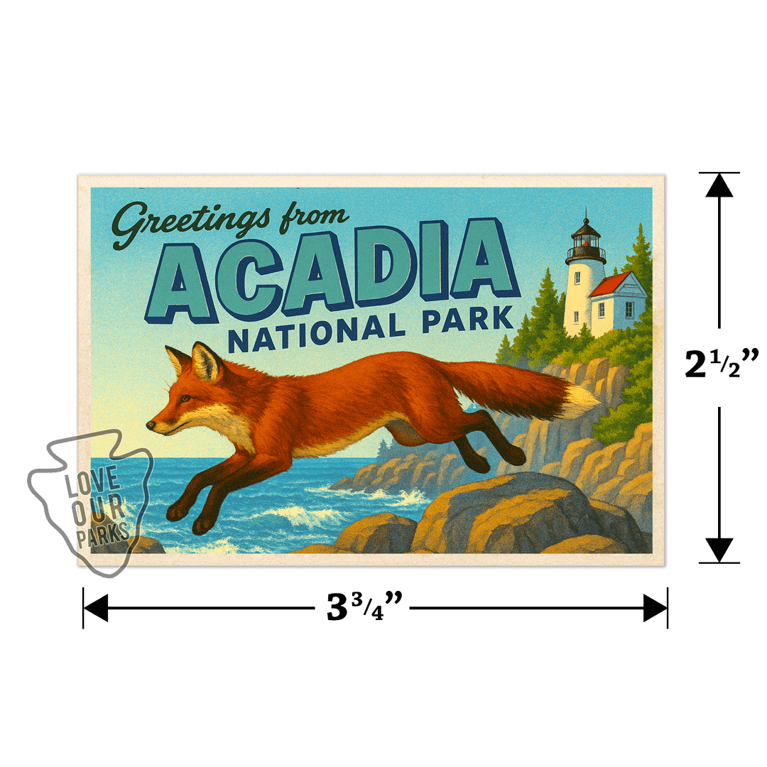 Acadia National Park Postcard Magnet