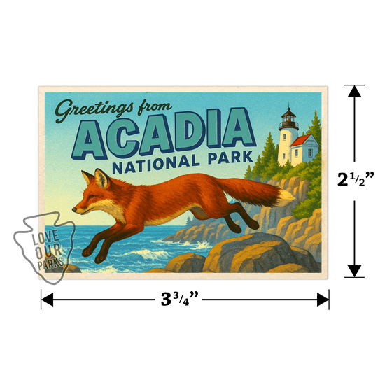 Acadia National Park Postcard Magnet