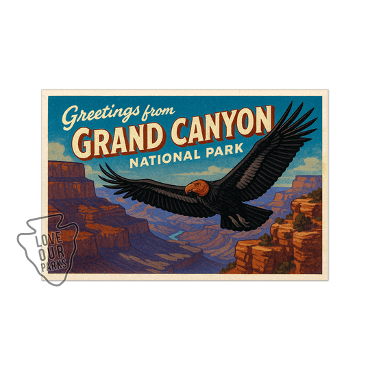 Grand Canyon National Park Postcard Magnet