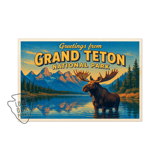 Grand Teton National Park Postcard Magnet