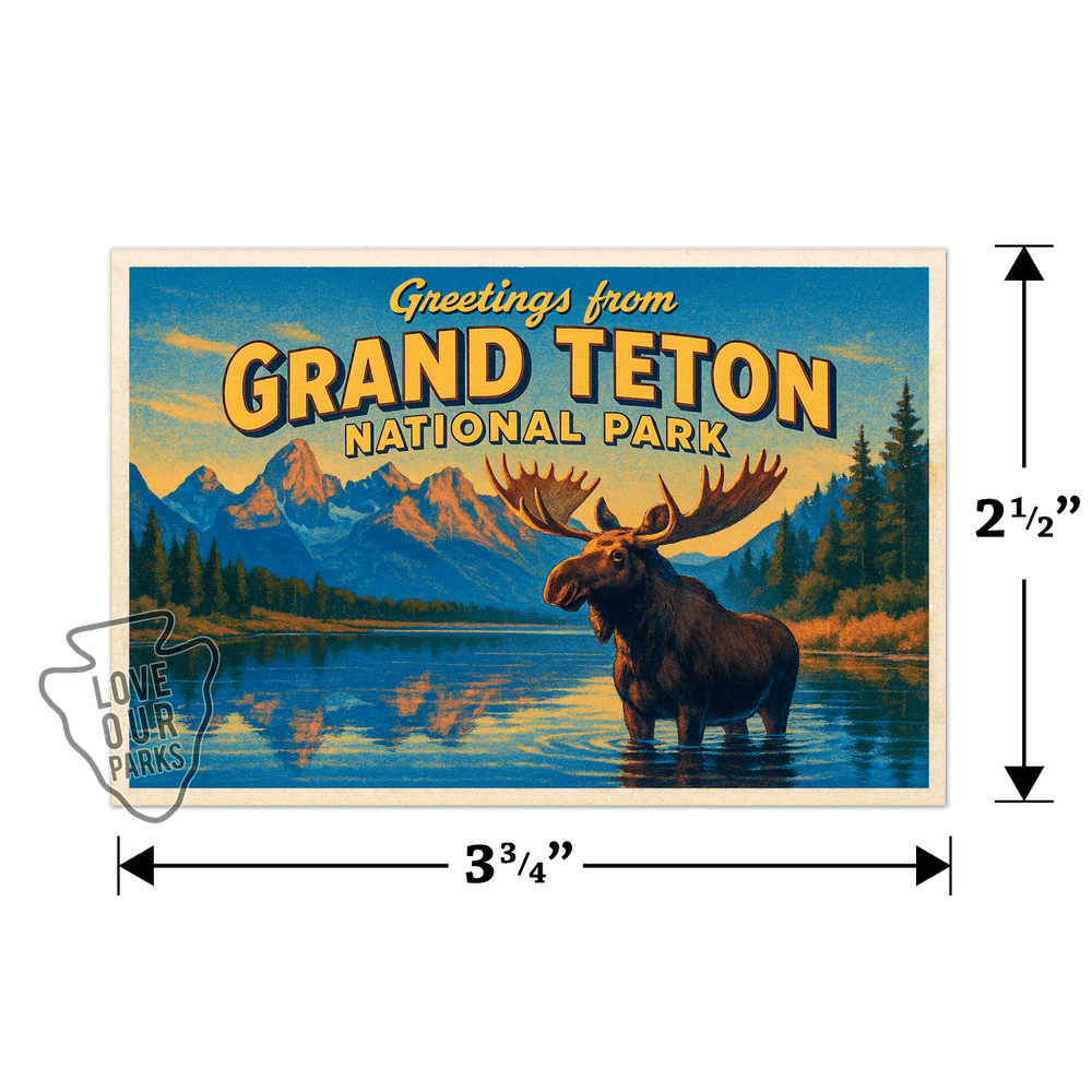 Grand Teton National Park Postcard Magnet