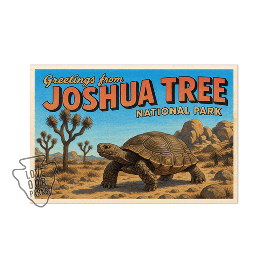 Joshua Tree National Park Postcard Magnet