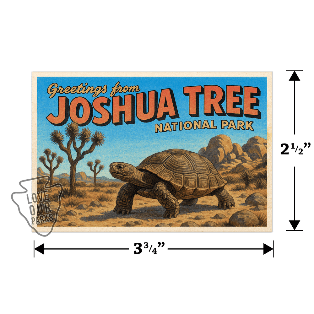 Joshua Tree National Park Postcard Magnet