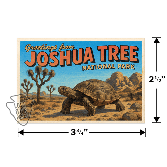 Joshua Tree National Park Postcard Magnet