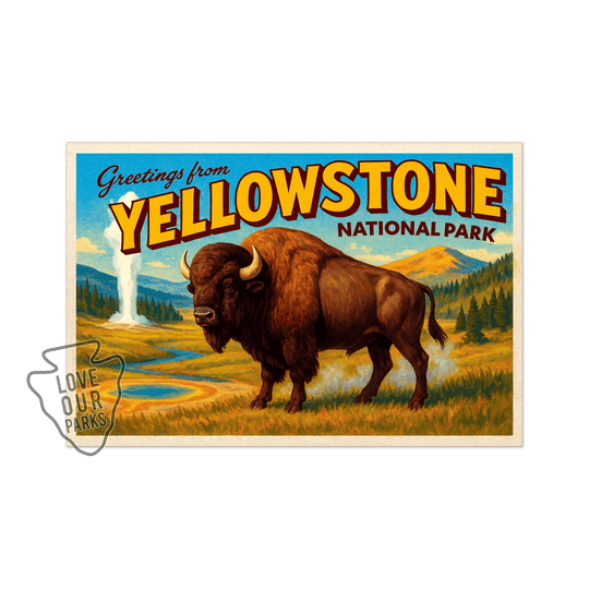 Yellowstone National Park Postcard Magnet