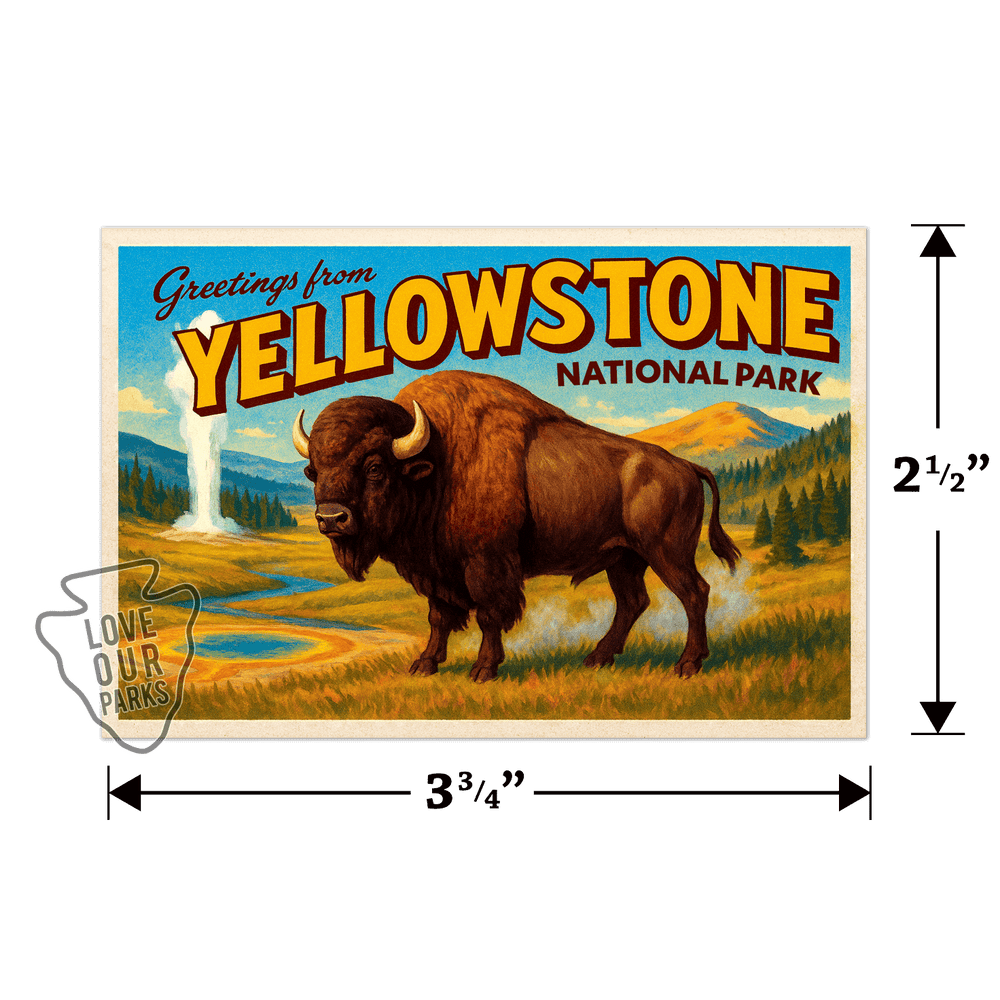 Yellowstone National Park Postcard Magnet