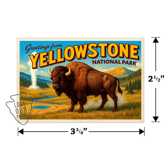Yellowstone National Park Postcard Magnet