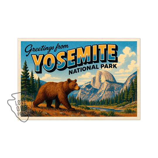 Yosemite National Park Postcard Magnet