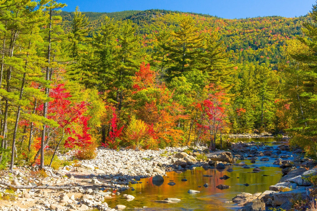 Awesome Autumn Adventures