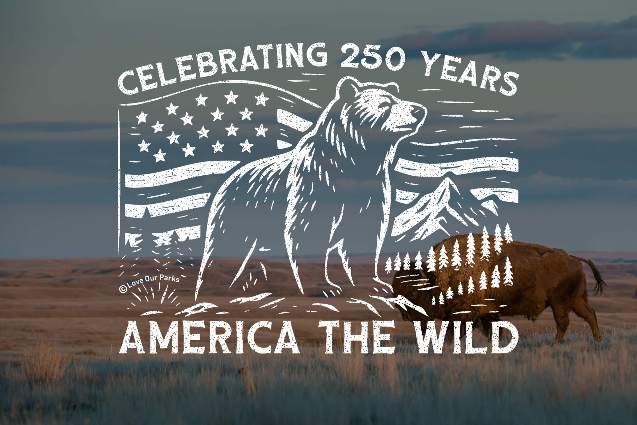 America The Wild - 250th Anniversary Collection
