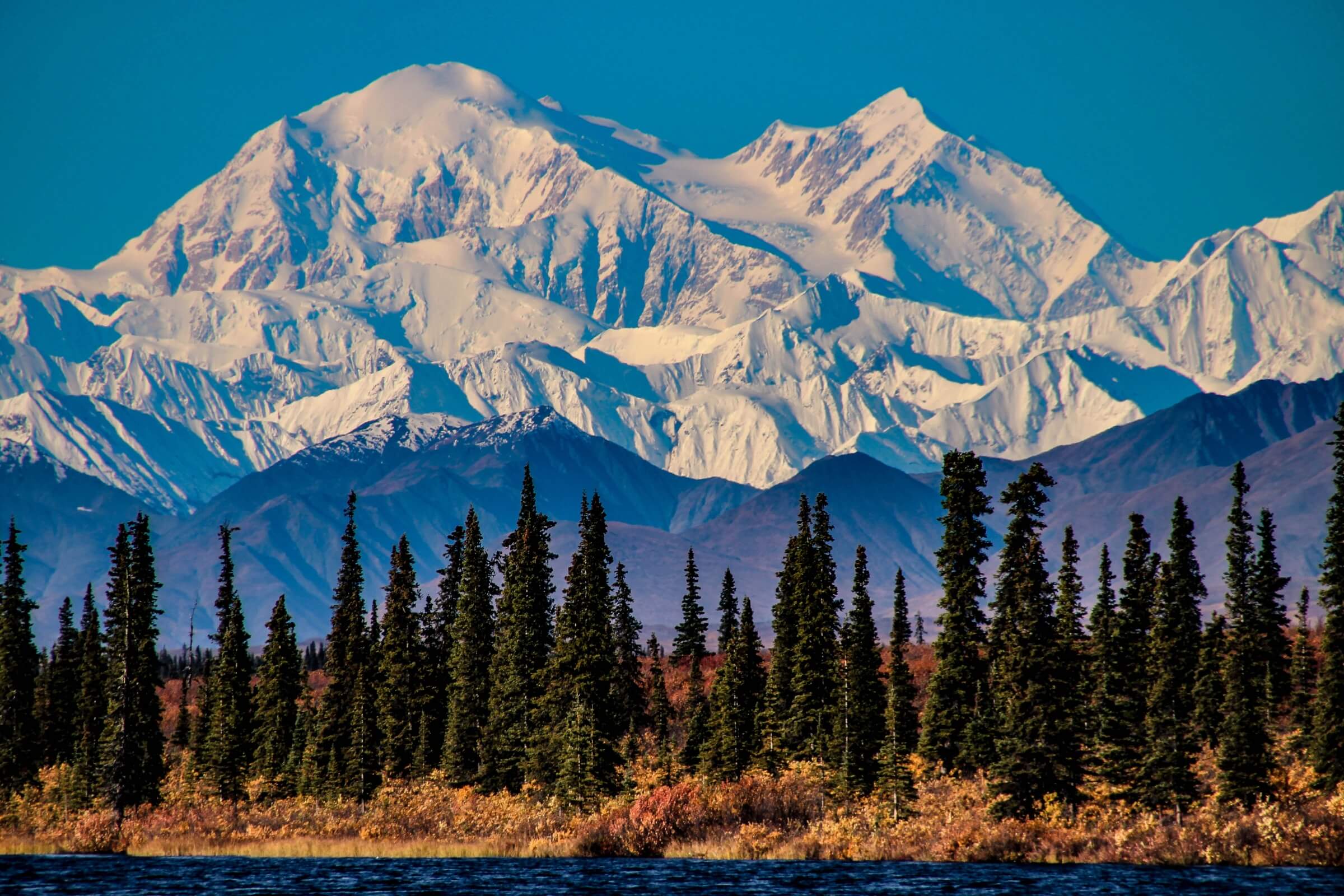 Denali National Park Collection - Shirts, stickers, and gifts