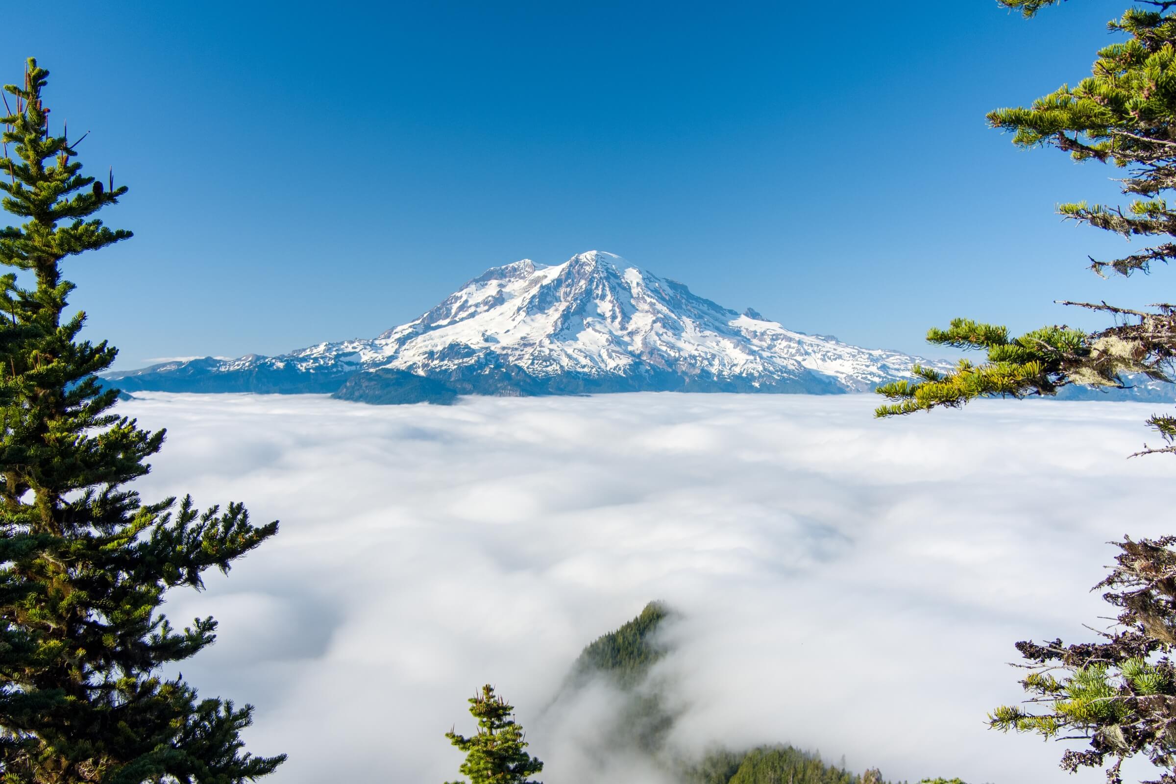 Mount Rainier National Park Collection - Shirts, stickers, and gifts