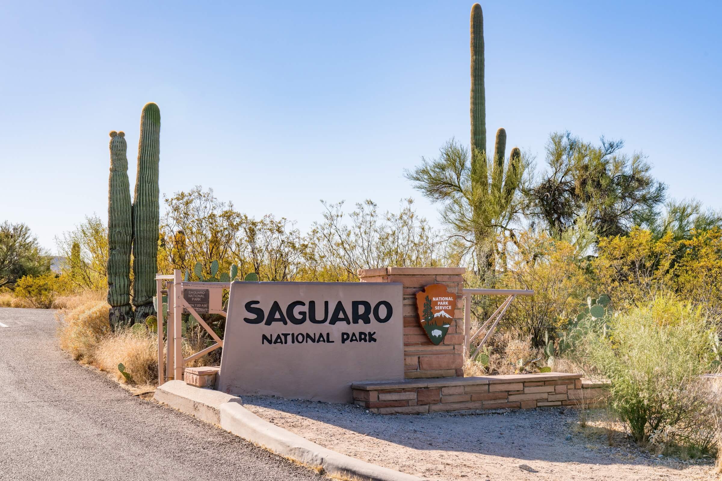 Saguaro National Park Collection - Shirts, stickers, and gifts