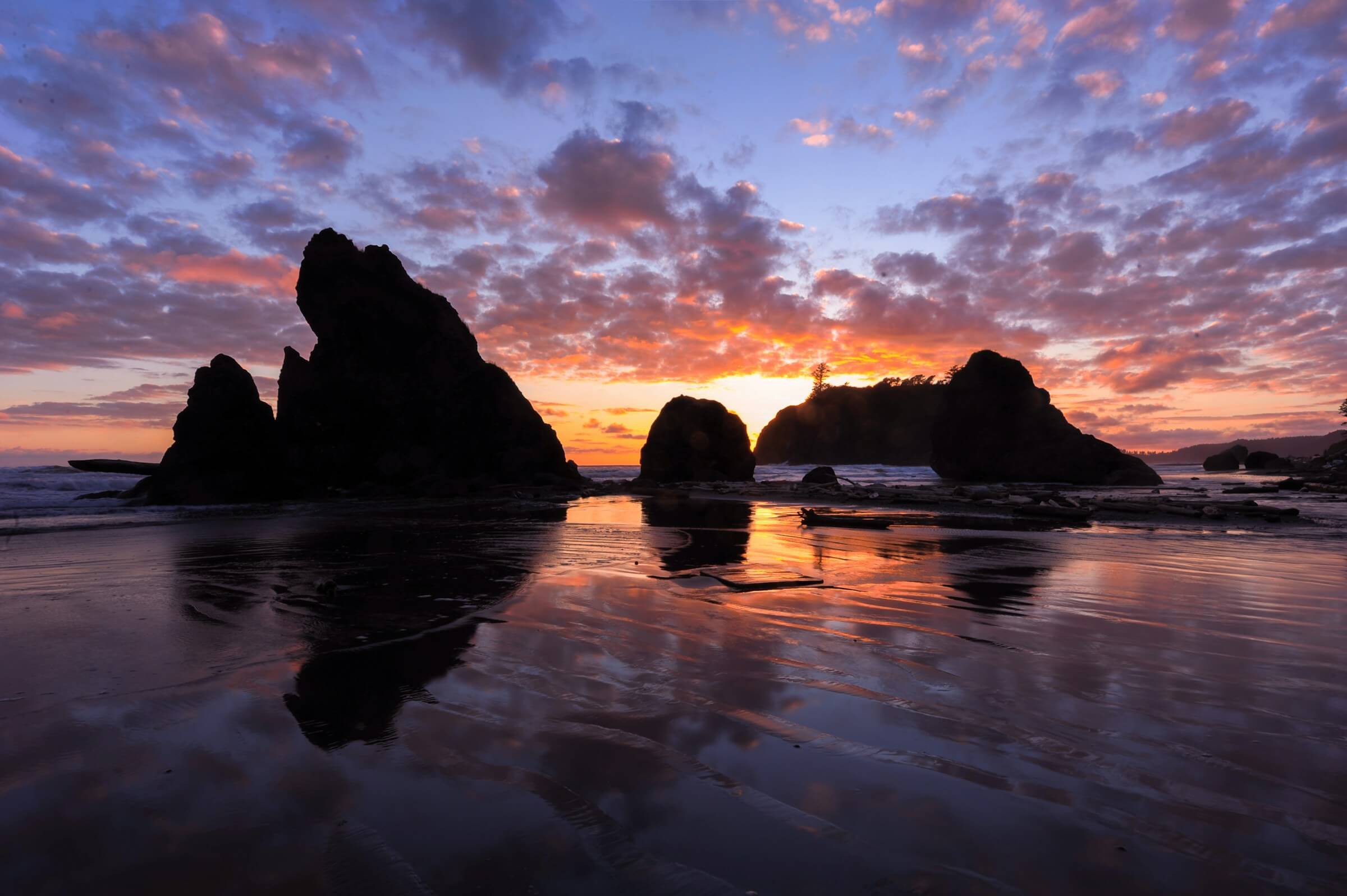 Olympic National Park