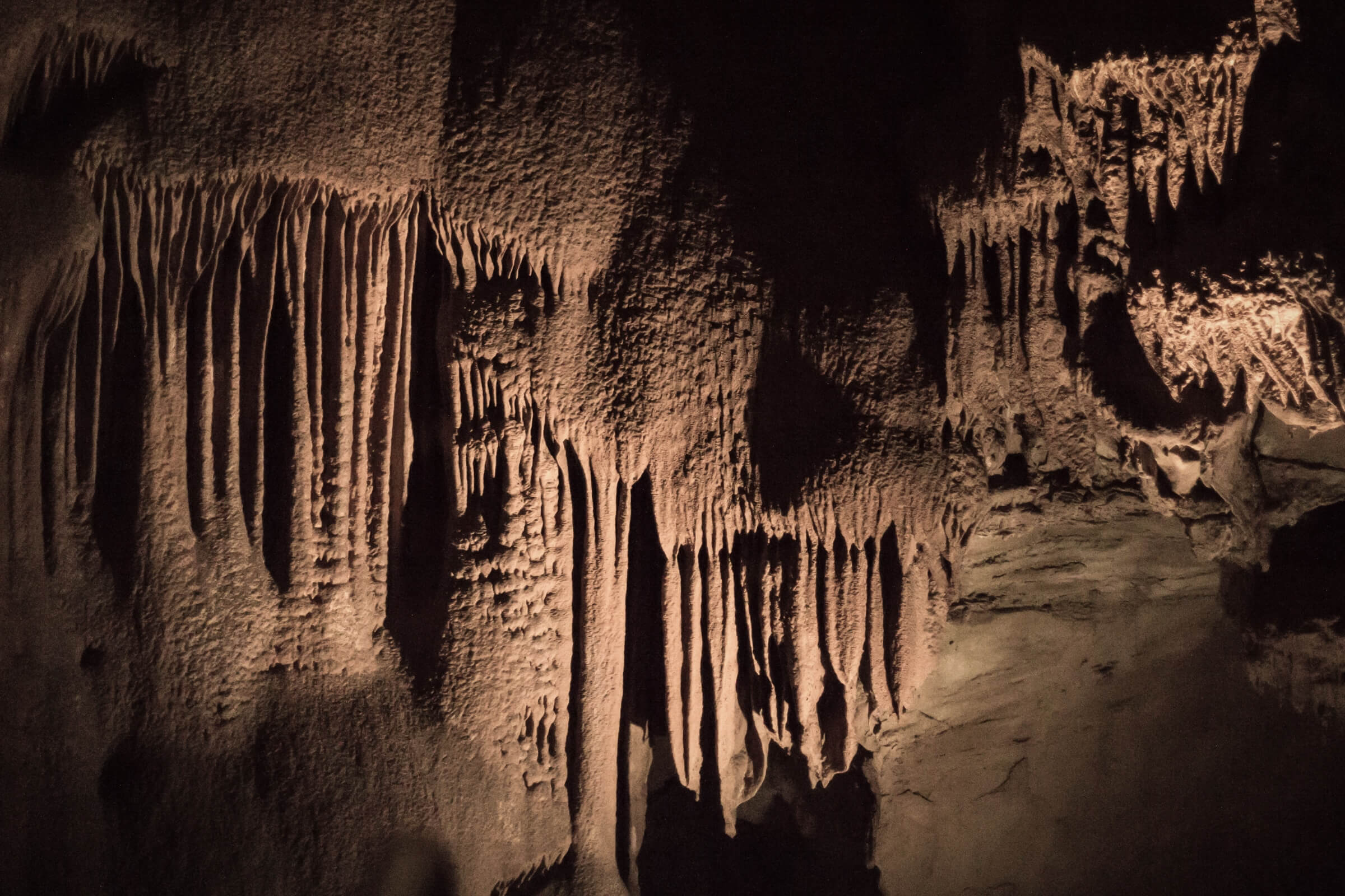 Mammoth Cave National Park
