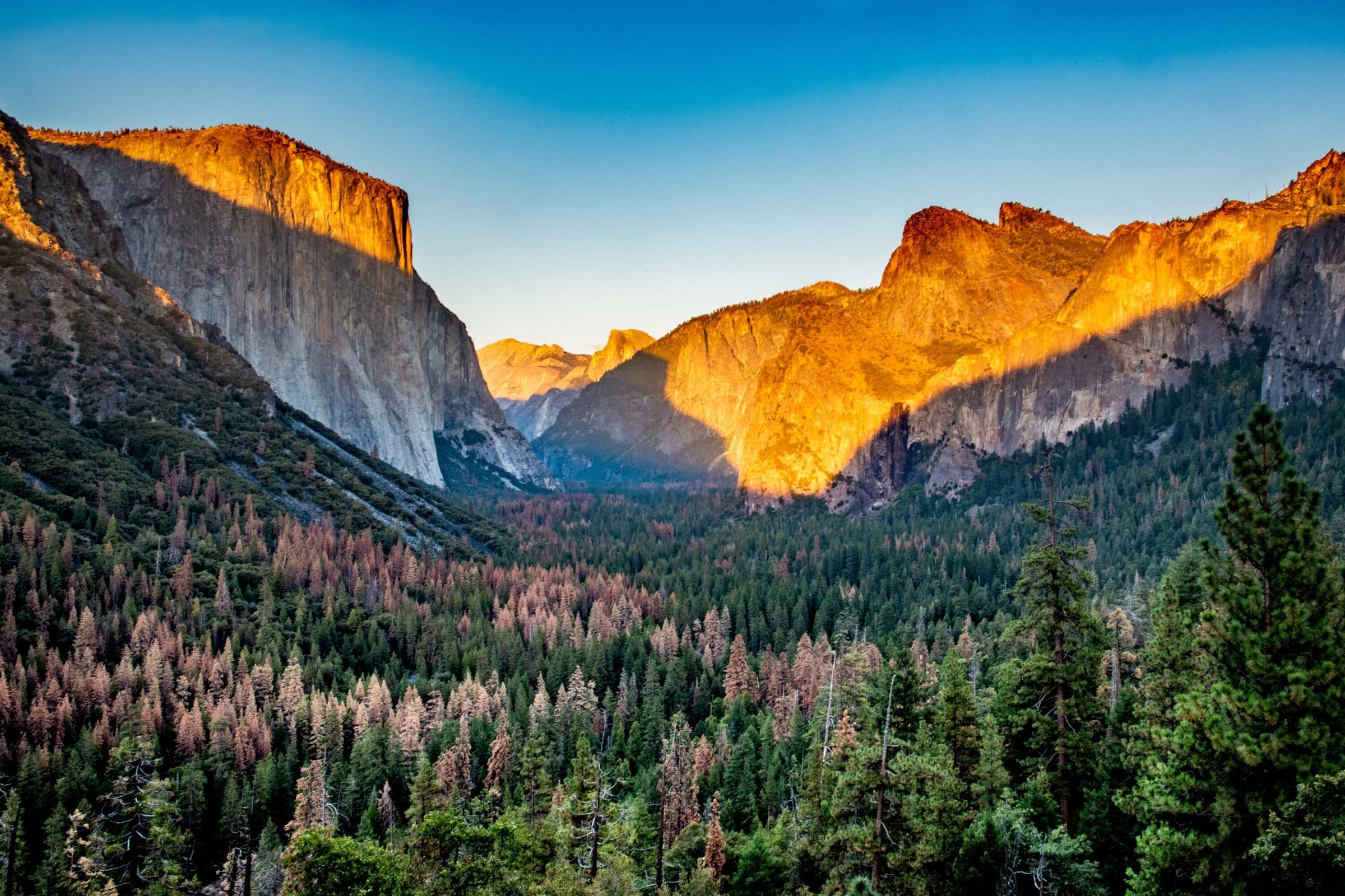 Yosemite National Park