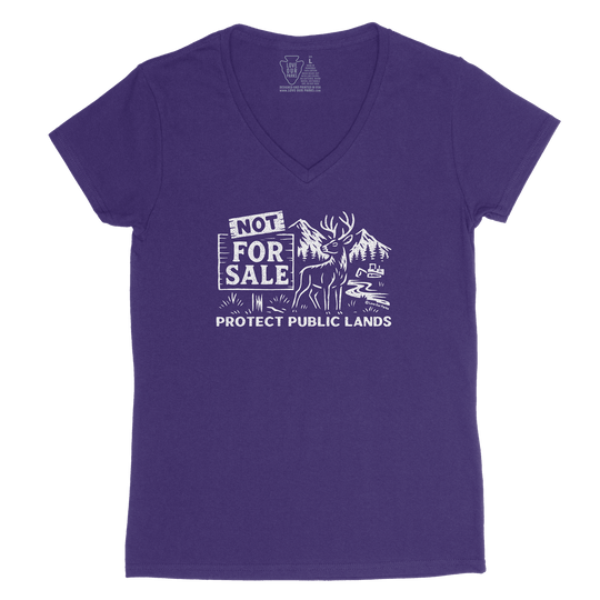 Protect Public Lands Deer Women's V-Neck Tee