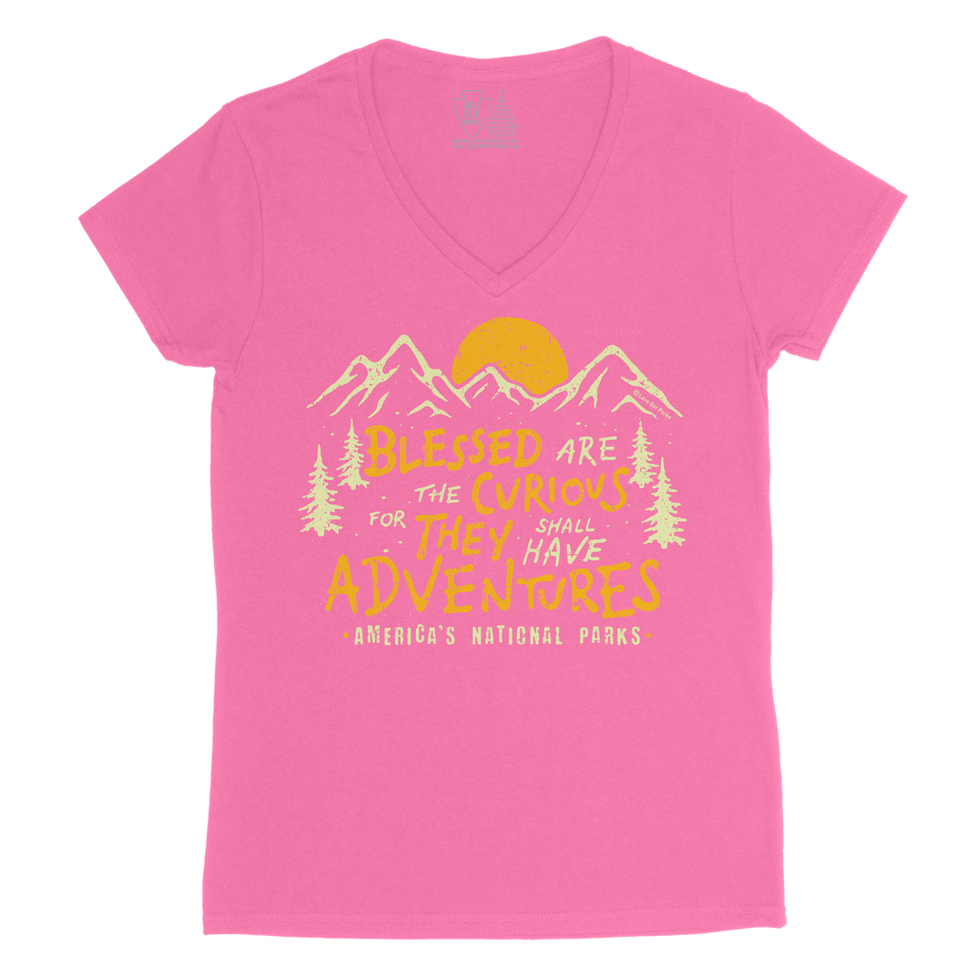 Blessed Are The Curious Women's V-Neck Tee