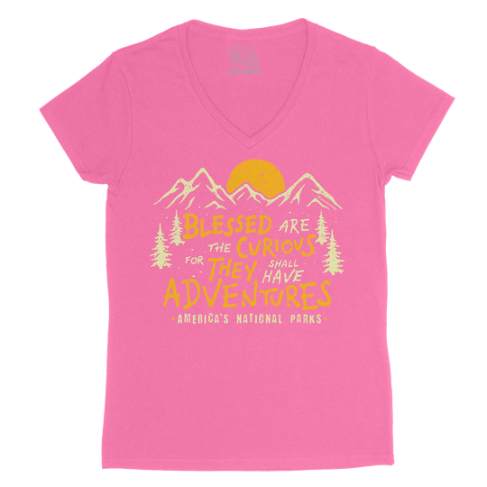 Blessed Are The Curious Women's V-Neck Tee