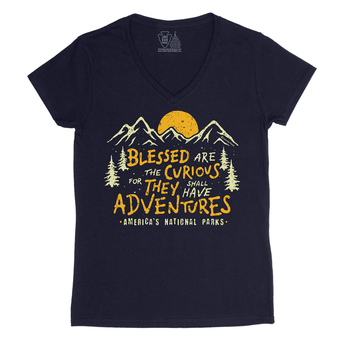 Blessed Are The Curious Women's V-Neck Tee