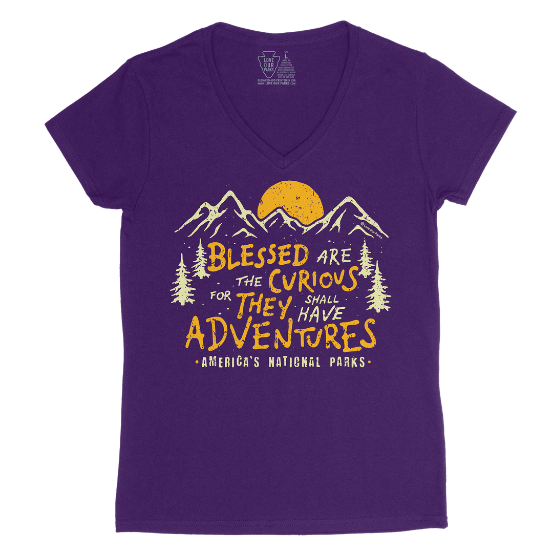 Blessed Are The Curious Women's V-Neck Tee