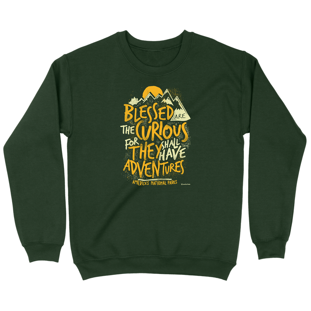 Blessed Are The Curious Sweatshirt