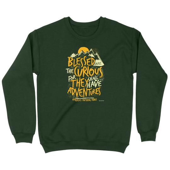 Blessed Are The Curious Sweatshirt