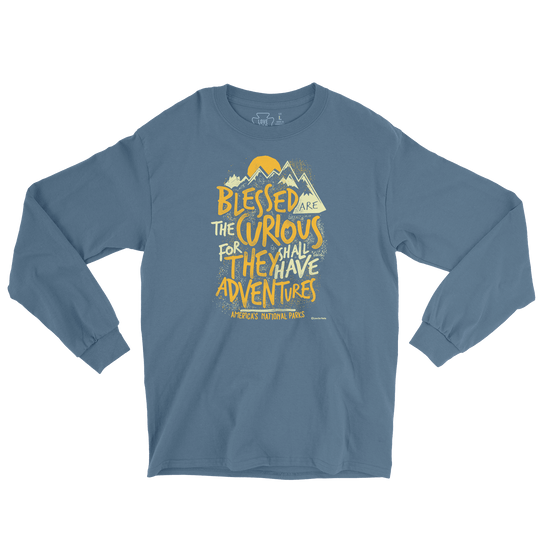 Blessed Are The Curious Long Sleeve Tee
