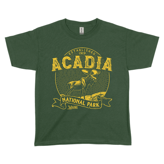 Acadia National Park Vintage Youth Tee